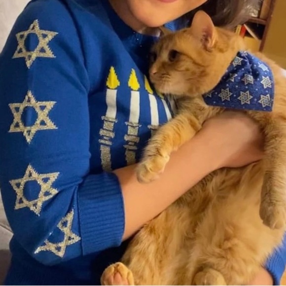 Mighty Fine Sweaters - Mighty Fine Blue Menorah Sweater